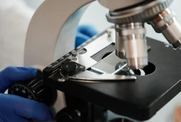 Which Peptide Regulation