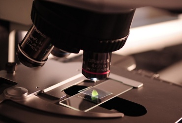 When to Choose qi yuan Peptides as Your Primary Science Partner?